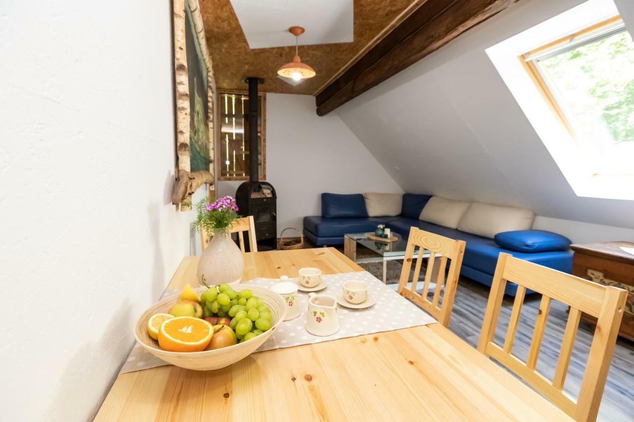 Apartma Waterfall Slap 보히니 외부 사진